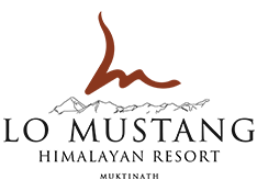 Main Logo